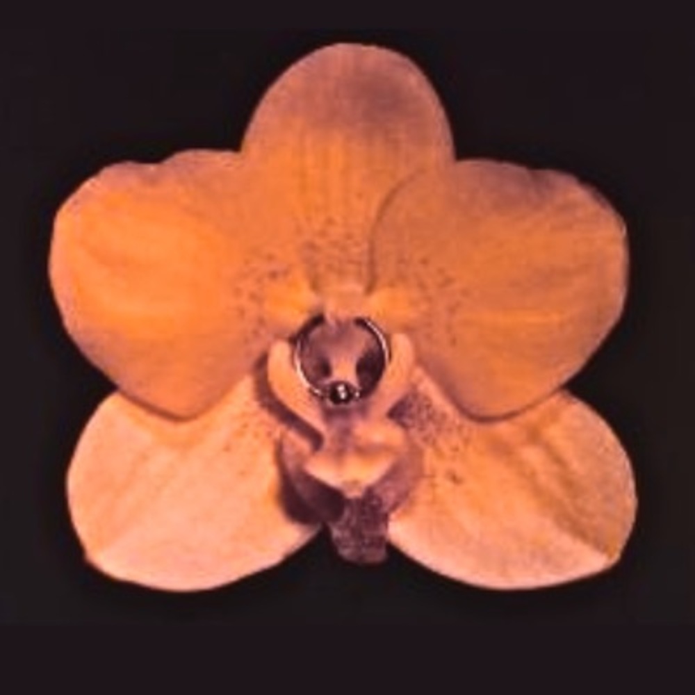 Meet your Posher, Zora